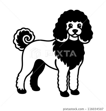 A black and white dog with a curly tail and a black mane 116034587