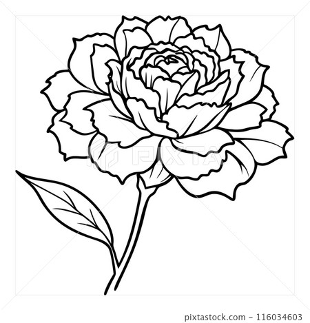 A flower with a stem and leaves A flower with a stem and leaves 116034603