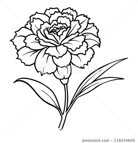 A flower with a stem and leaves A flower with a stem and leaves 116034609
