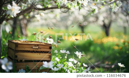 A serene apiary in a blooming orchard, where bees buzz among flowers, thriving in gentle sunlight. A serene apiary in a blooming orchard, where bees buzz among flowers, thriving in gentle sunlight. 116034676