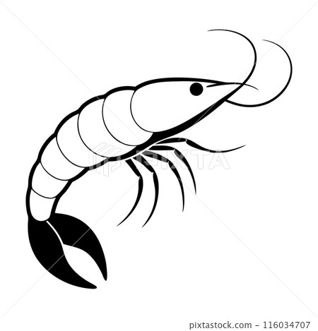 A white and black drawing of a shrimp A white and black drawing of a shrimp 116034707