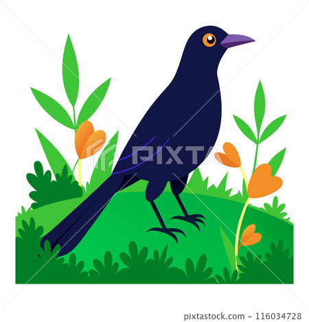 The bird has a bright yellow beak and is looking up at the camera The bird has a bright yellow beak and is looking up at the camera 116034728