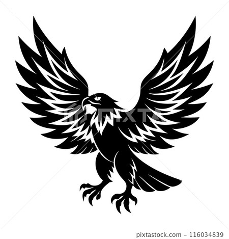 A black and white eagle with its wings spread out 116034839
