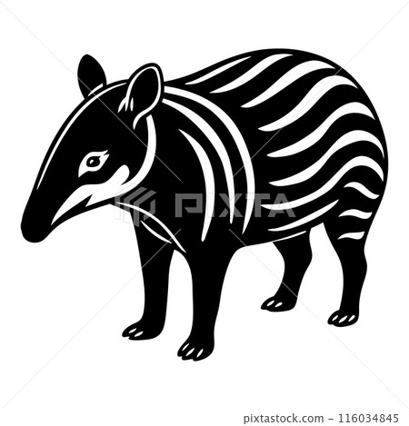 A black and white striped animal with a long snout 116034845