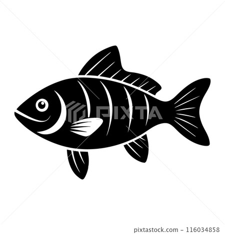 A fish is shown in black and white 116034858