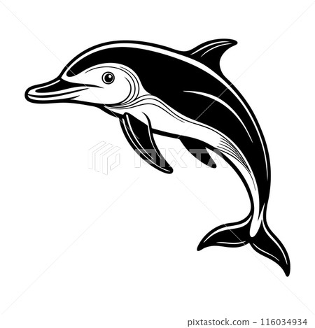 A black and white dolphin is leaping out of the water 116034934