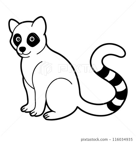 A black and white drawing of a raccoon sitting on a white background A black and white drawing of a raccoon sitting on a white background 116034935