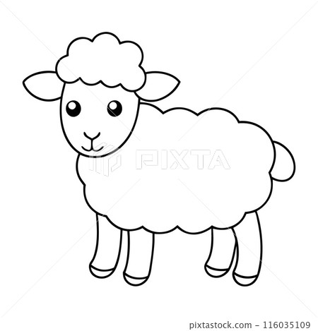 A sheep is standing in a field A sheep is standing in a field 116035109