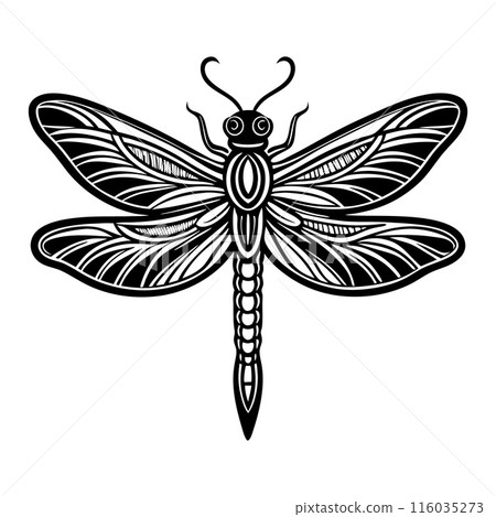 A black and white drawing of a dragonfly A black and white drawing of a dragonfly 116035273