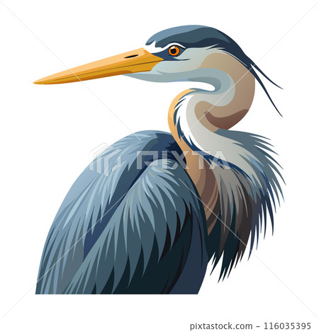 Illustration of a majestic heron bird with detailed feather features and realistic colors Illustration of a majestic heron bird with detailed feather features and realistic colors 116035395
