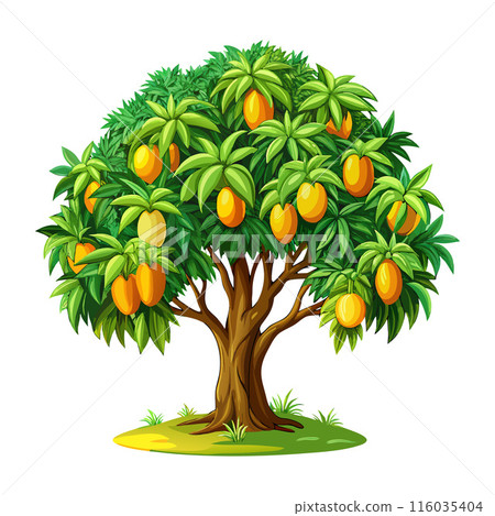 Colorful illustration of a lush mango tree with ripe fruits and vibrant green leaves Colorful illustration of a lush mango tree with ripe fruits and vibrant green leaves 116035404