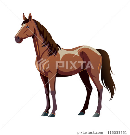 Vector illustration of a brown horse standing on white background Vector illustration of a brown horse standing on white background 116035561