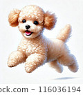 Frolic dog 116036194