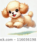 Frolic dog 116036198