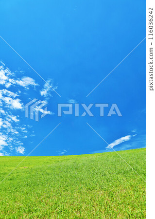 清爽的夏日藍天和清新的綠色草甸景觀 116036242