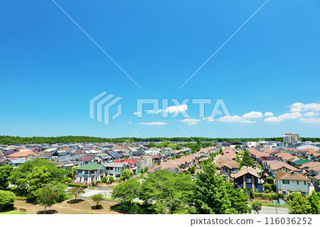 Blue sky and city scenery Blue sky and city scenery 116036252