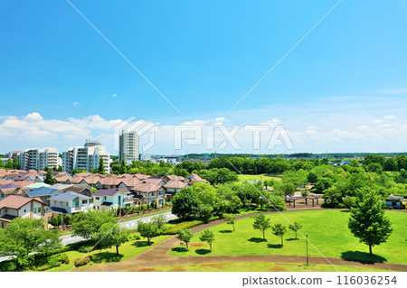 Blue sky and city scenery 116036254