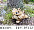 Ceramic frog and child figurine 116036418