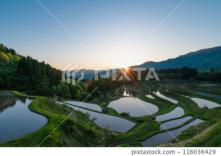 朝日登宇和山梯田 朝日登宇和山梯田 116036429