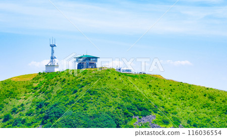 Cold wind mountain 116036554