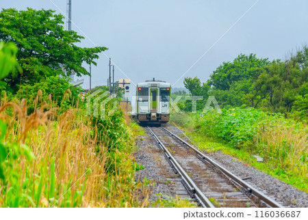 JR Ominato Line Kiha 100 series JR Ominato Line Kiha 100 series 116036687