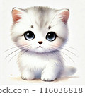 Watching white cat 116036818