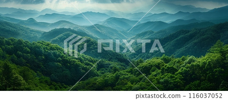 Wonderful mountain view representing the gift of nature 116037052