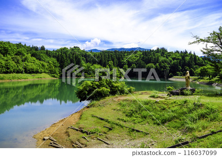 與池塘的初夏風景 116037099