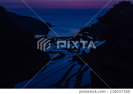 日落後濱之浦的梯田 日落後濱之浦的梯田 116037388