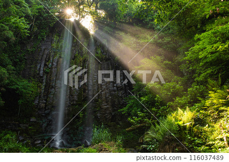 Karatsu City, Hizen's Three Waterfalls, Shiraito Falls and the Lights Karatsu City, Hizen's Three Waterfalls, Shiraito Falls and the Lights 116037489