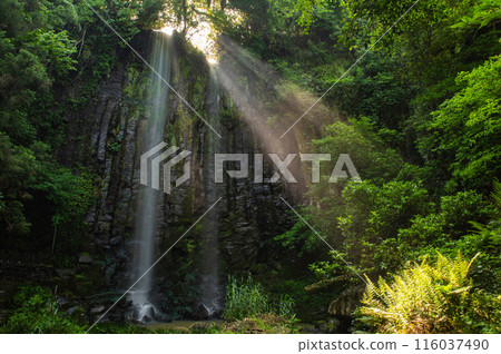 Karatsu City, Hizen's Three Waterfalls, Shiraito Falls and the Lights 116037490