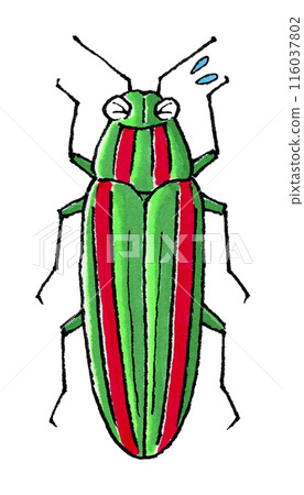Troubled jewel beetle Troubled jewel beetle 116037802