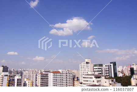 Buildings and blue sky in Sao Paulo, Brazil 116037807