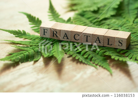 Fractals 116038153