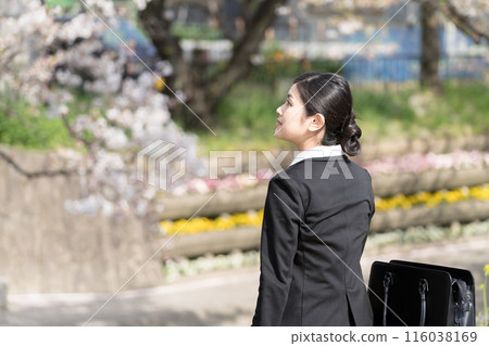 A young businesswoman looking at the cherry blossoms along a tree-lined river A young businesswoman looking at the cherry blossoms along a tree-lined river 116038169