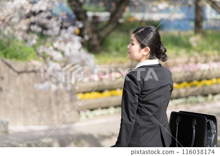 A young businesswoman looking at the cherry blossoms along a tree-lined river 116038174