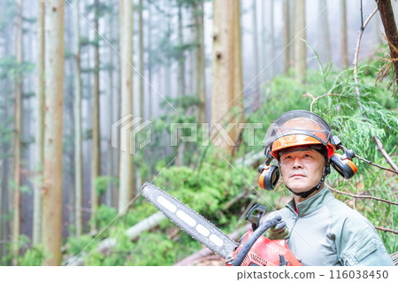 A forestry worker with a chainsaw, with the forest where he works in the background 116038450