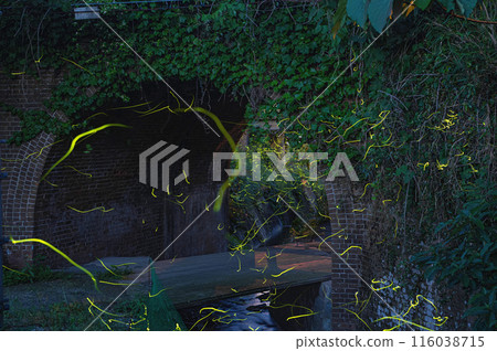 Fireflies flying around a brick arch bridge Fireflies flying around a brick arch bridge 116038715