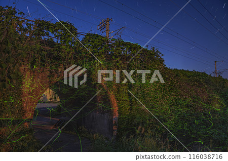 Fireflies flying around a brick arch bridge Fireflies flying around a brick arch bridge 116038716