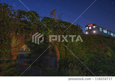 Fireflies flying around a brick arch bridge Fireflies flying around a brick arch bridge 116038717