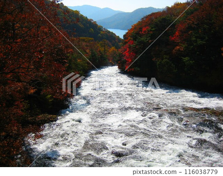 日光的紅葉、山川、中禪寺湖 116038779