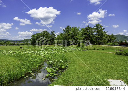 Bitchu Takamatsu Castle Ruins, Takamatsu Castle Ruins Park, Main Citadel Ruins, Okayama City, Okayama Prefecture 116038844