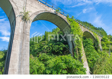 Kurikino Bridge (Kongono Bridge) 116039122