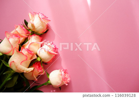粉紅色背景上的粉紅玫瑰花，美麗的漸層玫瑰圖像 116039128