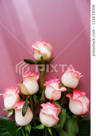 Pink roses and petals, vintage gradient rose flower 116039306