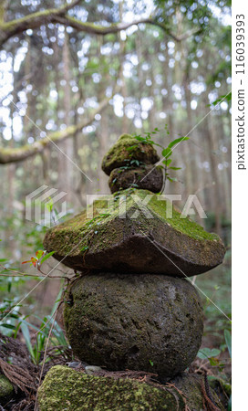A moss-covered pagoda in the mountains 116039393