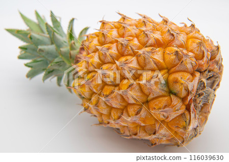 來自沖繩的新鮮成熟菠蘿 來自沖繩的新鮮成熟菠蘿 116039630