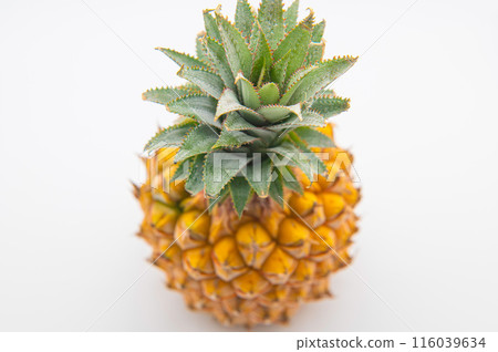 Fresh ripe pineapple from Okinawa 116039634