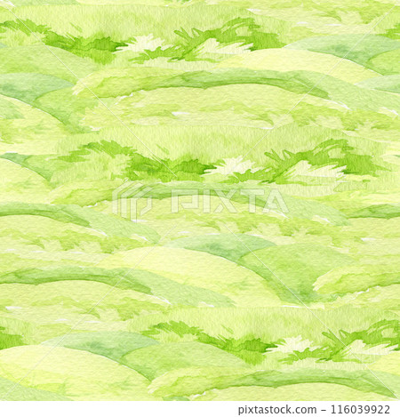Green grass seamless pattern. Watercolor illustration. Hand drawn green lush meadow. Landscape element seamless pattern 116039922