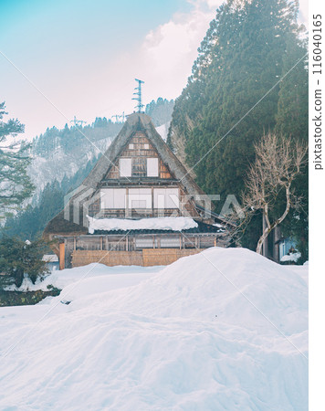Aristocratically建有雪 Aristocratically建有雪 116040165